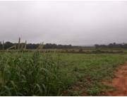 Campo Agrícola/Ganadero Mecanizado en Yasy Cañy sobre Ruta - 50 Ha.