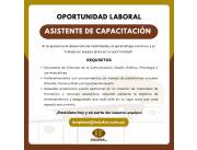 ASISTENTE DE CAPACITACION