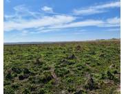 Campo Ganadero en San Jose de Los Arroyos - 280 Ha.