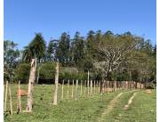 Campo Agrícola/Ganadero en 3 de Mayo - 44 Ha.