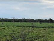 ALTO PY, TORO PAMPA, CHACO: 5.210 HAS, PASTURA ALTO NIVEL, AGROPECUARIO, INSTALACIONES.