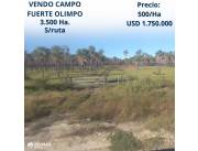 OFERTO CAMPO, S/ RUTA FUERTE OLIMPO