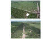 Vendo Campo de 1.673 Hectáreas, en Boquerón Zona Douglas - CLCS6569902