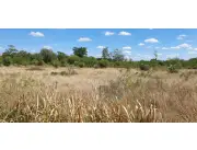 Vendo Campo de 1.328 Hectáreas en Boquerón, Zona Pechugon - CLCS6570929