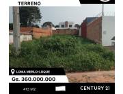 TERRENO EN LOMA MERLO LUQUE 360MILLONES