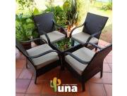 Juegos de Sillones uso Interior /Exterior