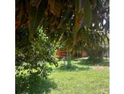 VENDO TERRENO EN MORA CUE LUQUE