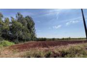 Terreno Rural en Carmen del Paraná - 25 Ha.