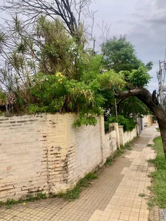 Espectacular terreno en esquina sobre Pacheco, 17,80mX40m. Ideal para edificio. — foto 2