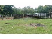 VENDO CAMPO DE 38 HECTAREAS EN PIRIBEBUY