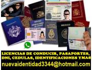 licencias de conducir identidades pasaportes