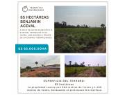 OPORTUNIDAD ÚNICA! TERRENO 65 HAS POTENCIAL EN VENTA EN CHACOÍ MUNICIPIO BENJAMIN ACEVAL