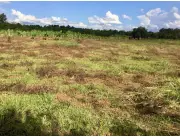 Campo Agrícola Mecanizado en Yguazú - 30 Ha.