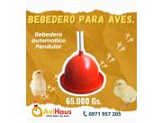 Bebedero pendular aves pollitos gallinas