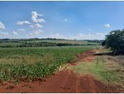 Terreno Agrícola Mecanizado sobre Ruta en Mayor Otaño - 20 Ha.