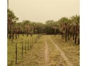 Campo Agrícola/Ganadero en Gral. Bruguez sobre Ruta 12 - 1000 Ha.