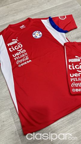 Indumentaria Deportiva - ▪️ Camiseta Paraguay La Albirroja APF calidad tailandesa ▪️Talle P al XXL ▪️Precio 135mi