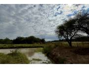 Campo Ganadero en Paratodo sobre la Ruta de la Leche - 1000 Ha.