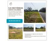 Terreno en Nueva Colombia - 5.5 hectáreas RUTA ASFALTADA