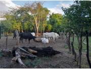 Terreno en Aregua