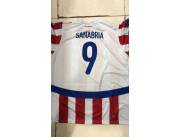 ▪️Camiseta Albirroja Tony Sanabria N9 sublimado para niños y adulto ▪️Talle P al XXL 105m