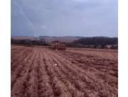 Campo Agrícola Mecanizado en Carlos Antonio Lopez - 440 Ha.