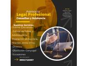 Asesoría Legal. Patrocinio/Representación en Juicios