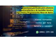 Enseñanza particular de programación.