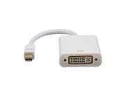 CABLE ADAPTADOR XTECH XTC330 MINI DISPLAY-DVI