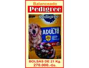 Super oferta Pedigree y Pro Plan cachorros y adultos.