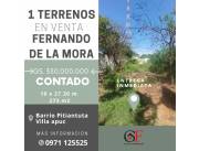 Terreno en Fernando de la Mora zona Sur Barrio Pitiantuta