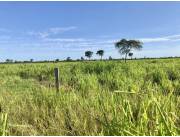 Campo Ganadero en Fortín Florida - 1761 Ha.