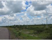 Campo en Carmelo Peralta sobre la Ruta Bioceanica - 80 Ha.