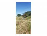 OFERTA DE TERRENO EN LIMPIO- ZONA ISLA AVEIRO