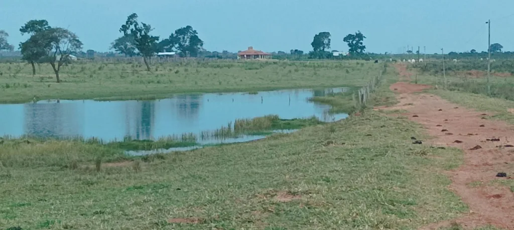 Campo AgrícolaGanadero Mecanizado en Horqueta - 1330 Ha. — foto 2