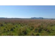 Campo Ganadero en Paraguari - 28 Ha.