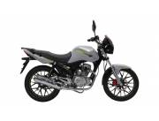 GTR 150 LTD