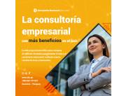 Consultora empresarial - Servicios en gral.