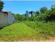 Terreno en venta en zarate isla - Luque