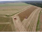 Campo Agrícola Mecanizado en Curuguaty - 980 Ha.