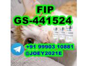 GS-441524 cat Fip Feline Infectious Peritonitis