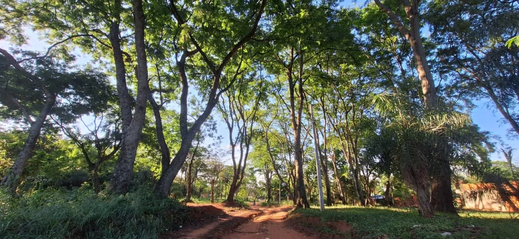 VENDO TERRENO EN AREGUÁ — foto 3