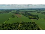 Terreno Agricola Mecanizado en Minga Guazú - 20 Ha.