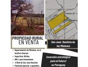 99 HECTÁREAS EN SAN JUAN BAUTISTA DE LAS MISIONES/ OPORTUNIDAD DE INVERSIÓN