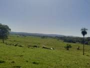 Campo Agrícola/Ganadero en Carayaó sobre Ruta - 43 Ha.