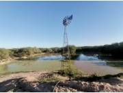 Campo Agrícola/Ganadero en Irala Fernández - 610 Ha.