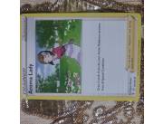 Carta Pokémon entrenador Aroma lady 141/203