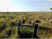 Campo Ganadero en Benjamín Aceval - 6225 Ha.