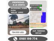 EN VENTA TERRENO DE 825 M2. EN ESQUINA SOBRE LA AVDA. MOLAS LOPEZ, ASUNCION !!