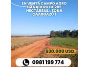 EN VENTA CAMPO AGRO GANADERO DE 209 HAS, UBICADO EN ZONA KM. 195 RUTA 2 CAAGUAZU !